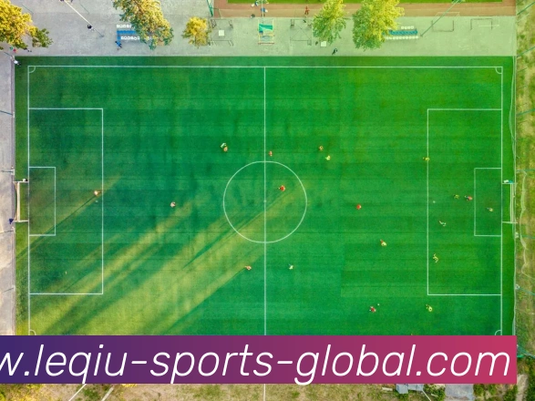 乐球体育APP 高清赛事图